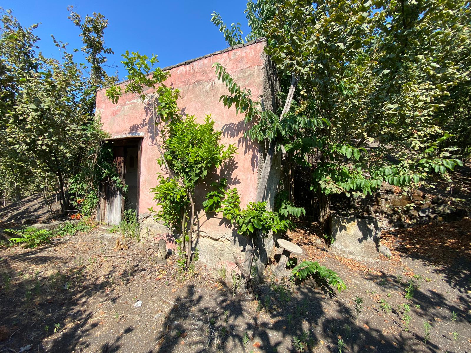 Terreno Agricolo di ampia metratura